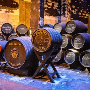 Experiencia degustación en Bodegas Fundador