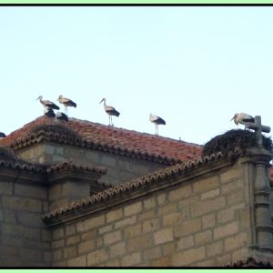 Parroquia Nuestra Señora de la Asunción en el Tiemblo
