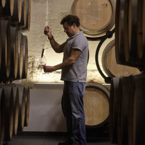 Bodega en Quintanilla de Onésimo
