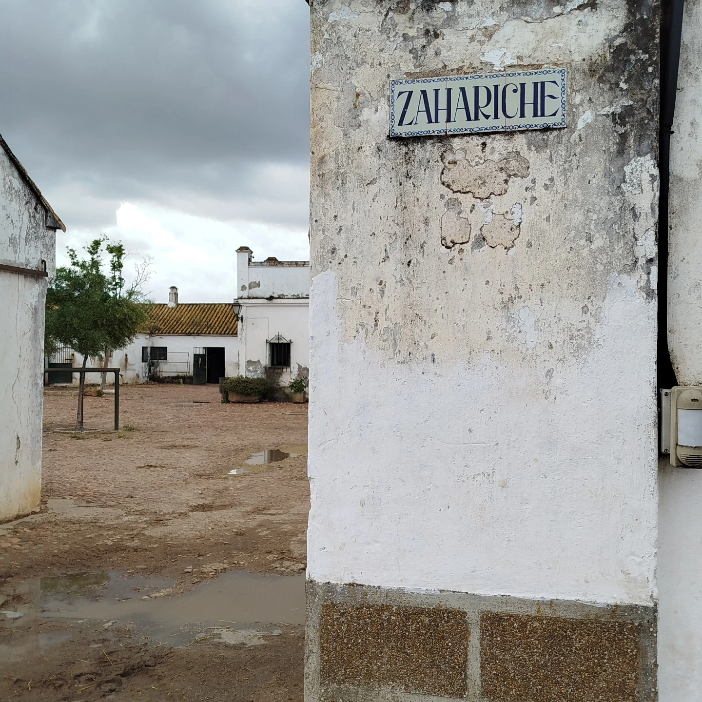 Interior de la ganadería Miura en Lora del Río