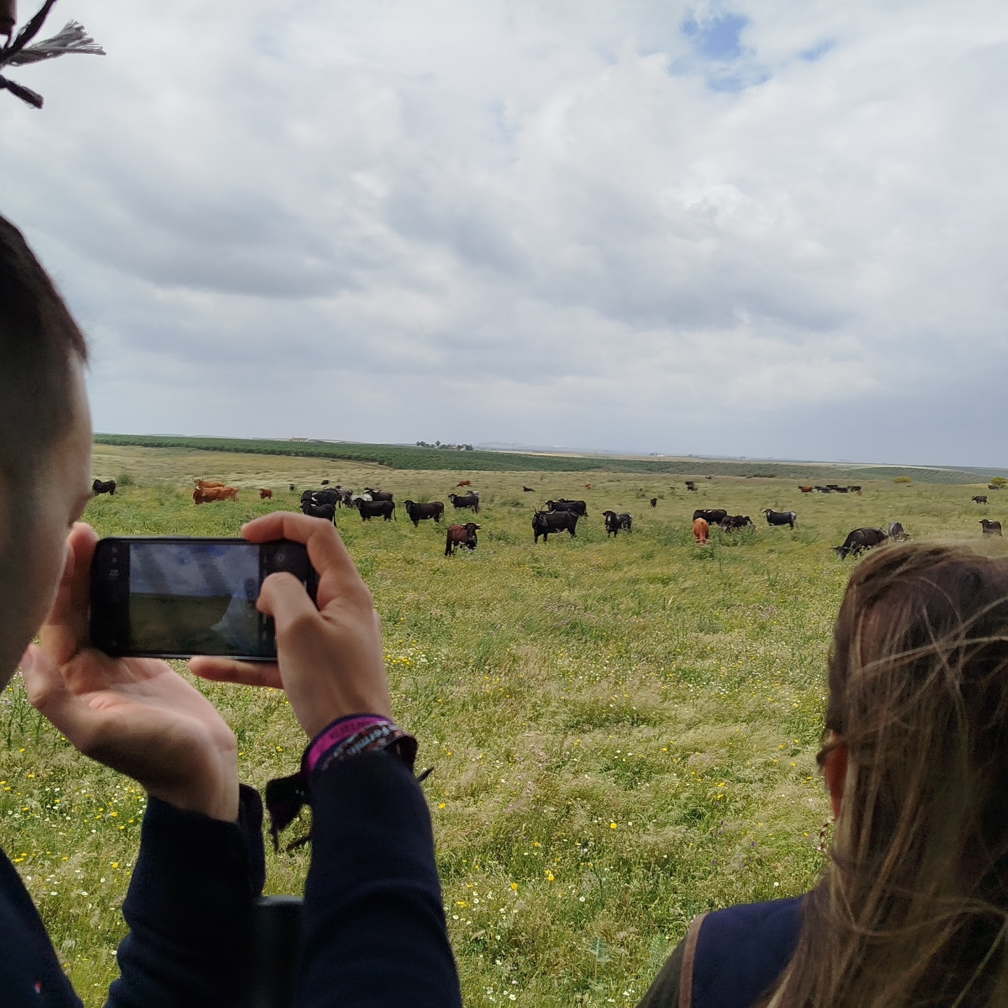 Fotos a la ganaderia Miura en Lora del Río