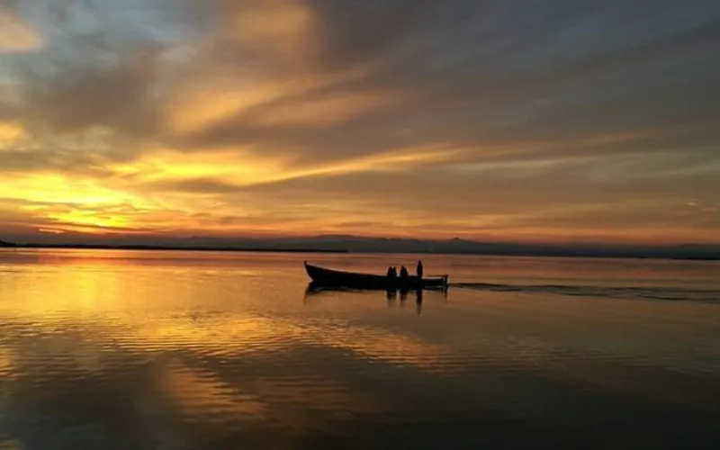 Paseo en barco por la albufera de Valencia al atardecer