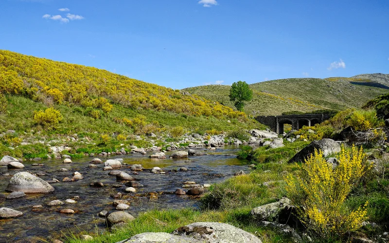 Ruta sencilla para familias en la Sierra de Gredos