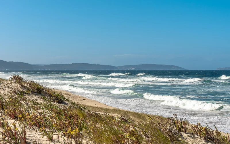 Edommo Surf Pro Razo Galicia