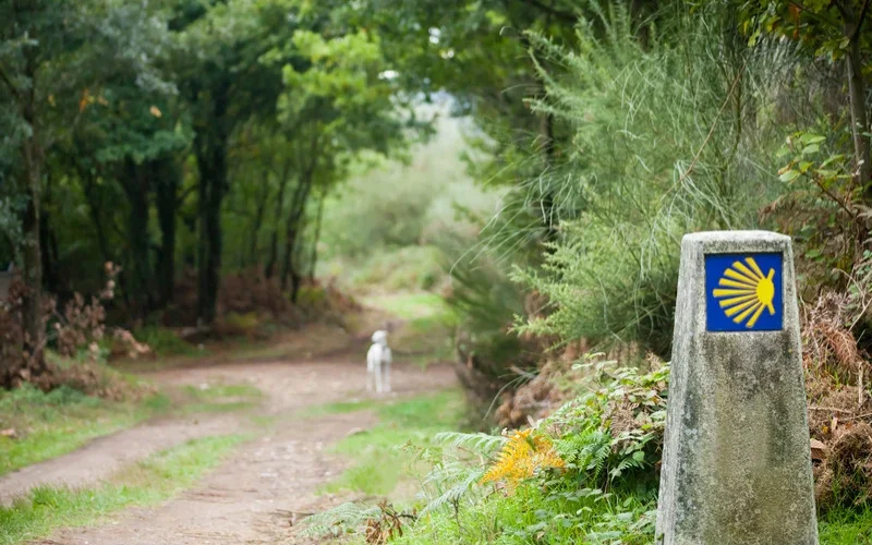 Camino de Santiago en la provincia de Lugo