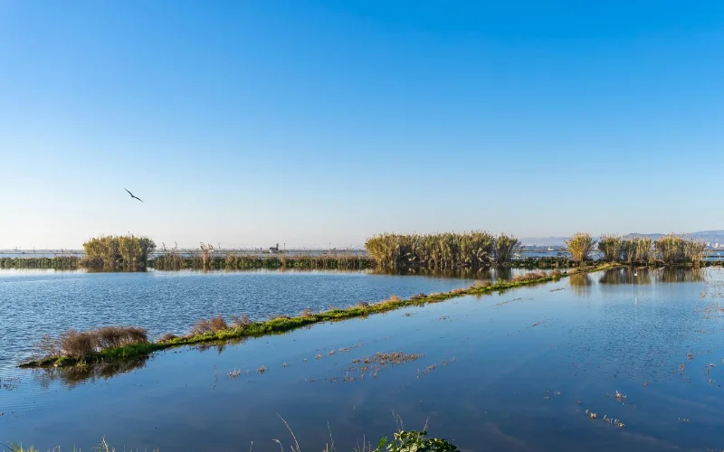 Vista del lago de la Albufera en Valencia