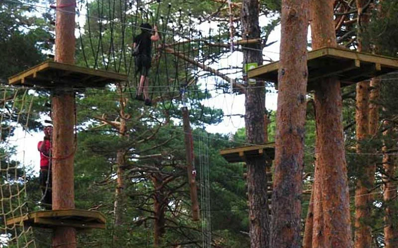 Grupo de Parque Aventura en Soria