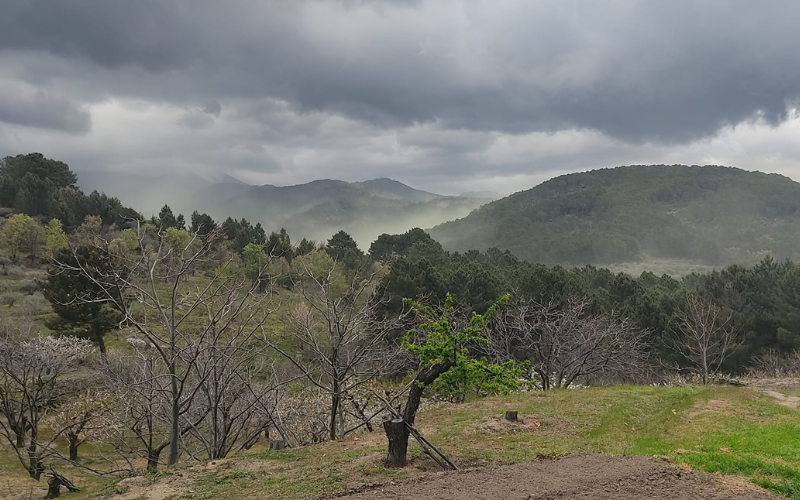 Vista de senderismo en Arenas de San Pedro
