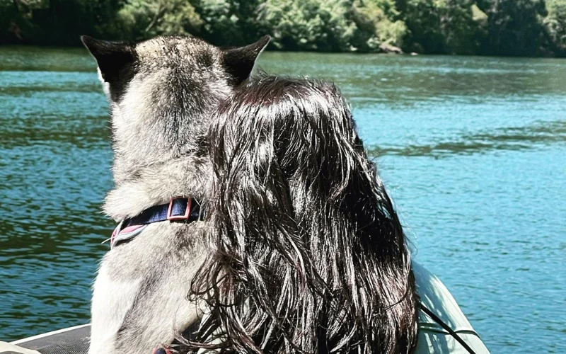Mascota en el paseo fluvial por el río Miño