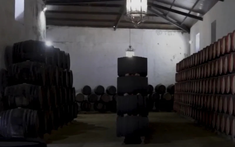 Visita bodega Los Patios en Cabra