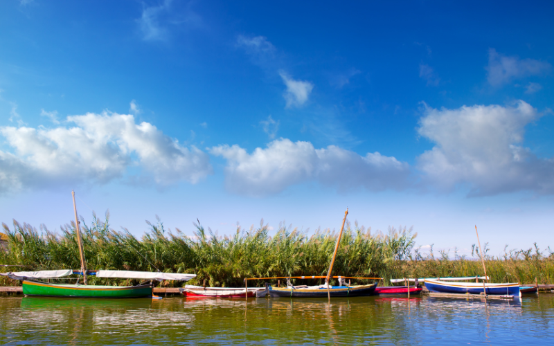 Barcas en La Albufera