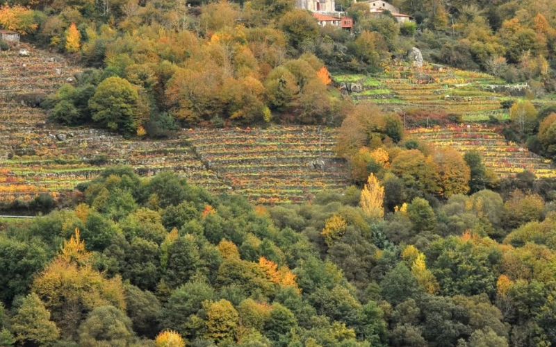 Iglesia en la parte alta de la Ribeira Sacra