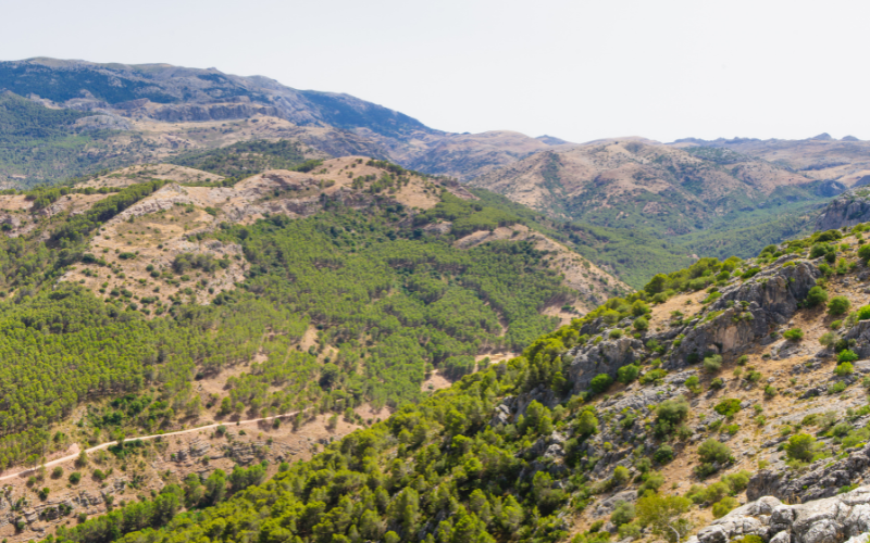 Vista del Parque Natural de Cardeña