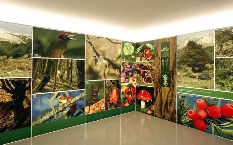 Centro de Interpretación de la Sierra del Sueve
