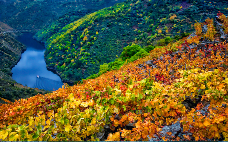 Imagen de la Ribeira Sacra