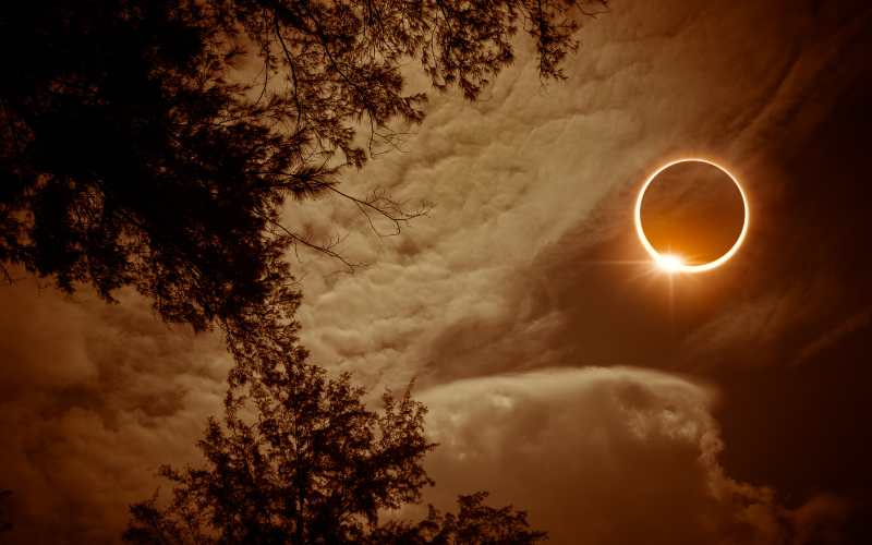 Eclipse solar en L'Albufera