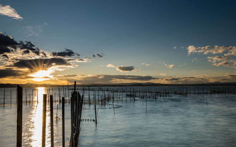 Qué ver en la Albufera de Valencia