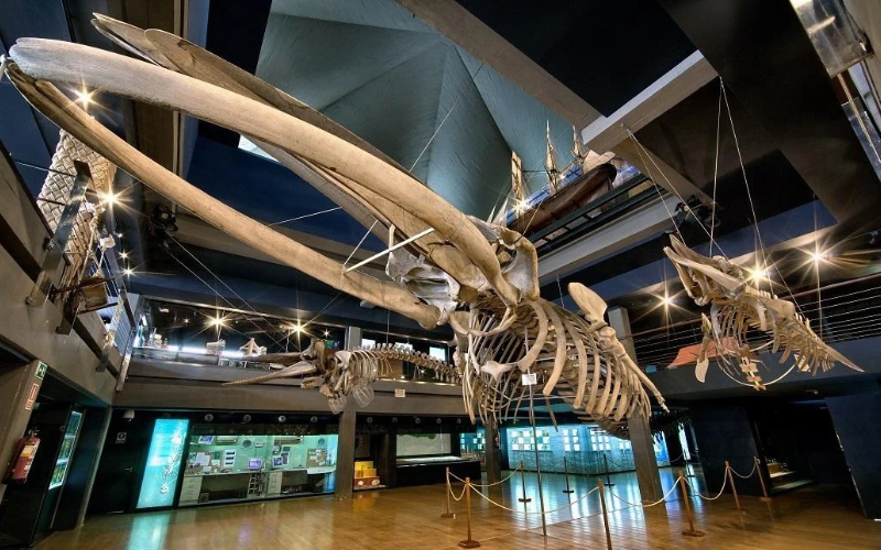 Interior del museo marítimo del Cantábrico en Santander