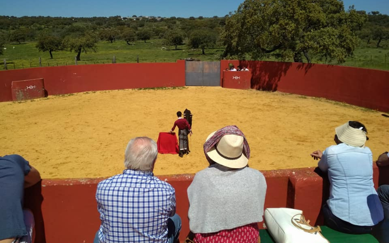 Turistas en la visita a ganadería Osborne en Sevilla