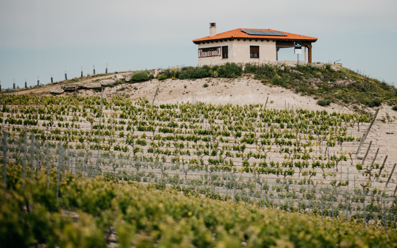 Casita de Bodegas Monteabellón en el precioso mirador natural