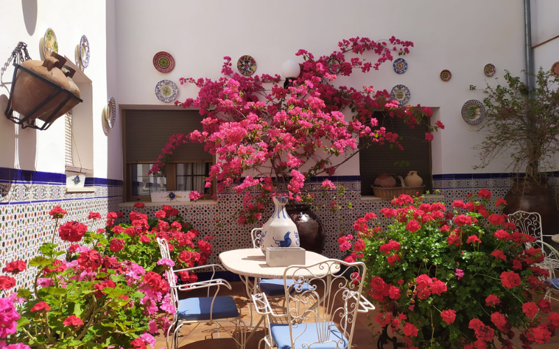 Patio andaluz del hostal Javi en Belmez