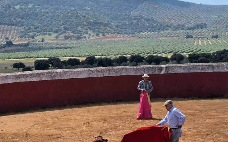 Afición práctica a los toros en una tienta en el campo
