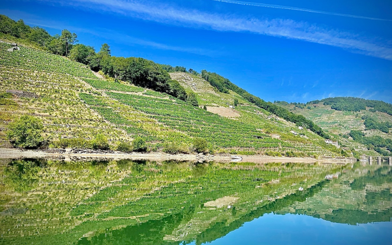 Vista de los viñeos en el paseo en barco por la Ribeira Sacra