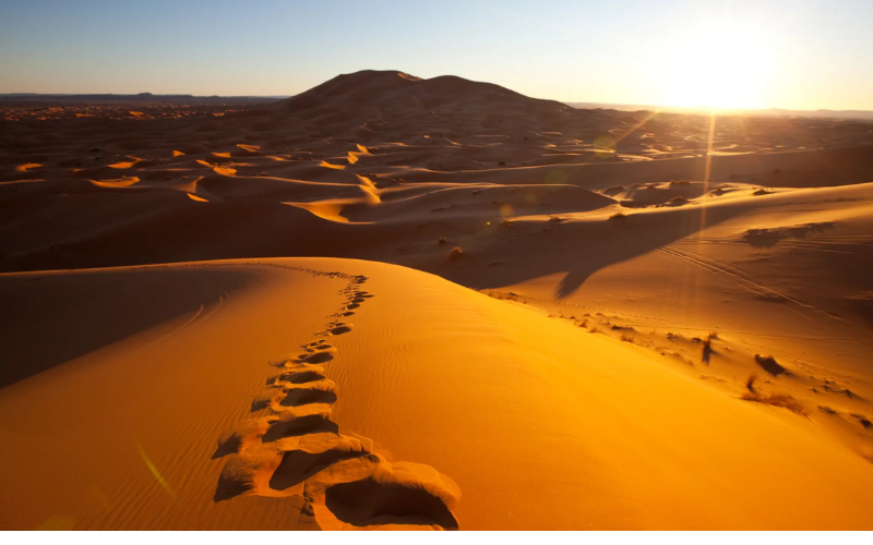 Vista del desierto en la excursión desde Marrakech al de Zagora