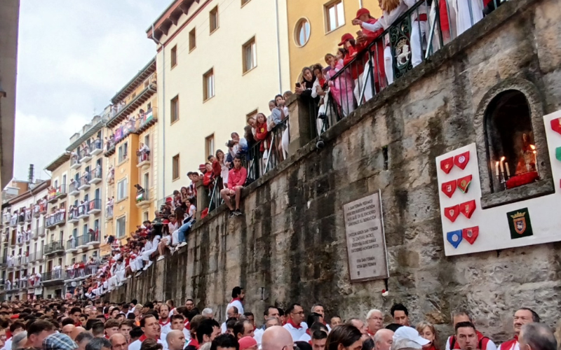 Espera corredores toros en San Fermín