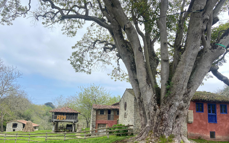 Vista del museo etnográfico del Oriente de Asturias