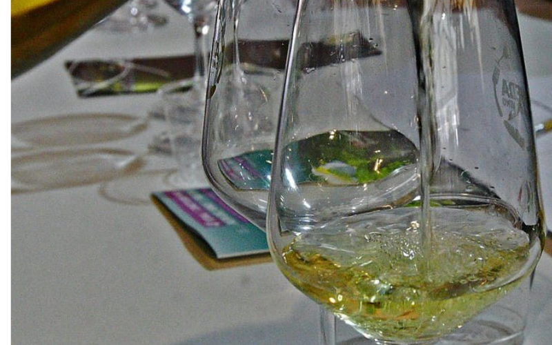 Feria del vino de la do Rueda en Medina del Campo