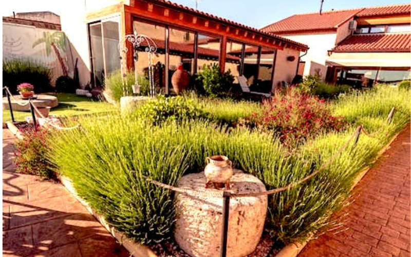 Jardin del hotel rural de don Marciano